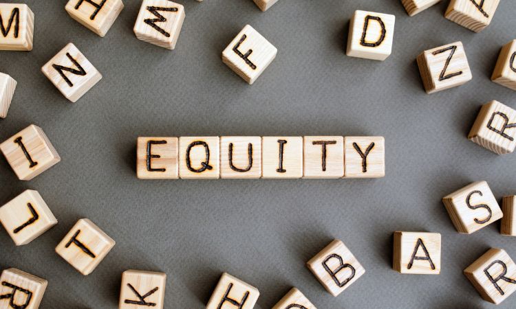 Equity Investment option