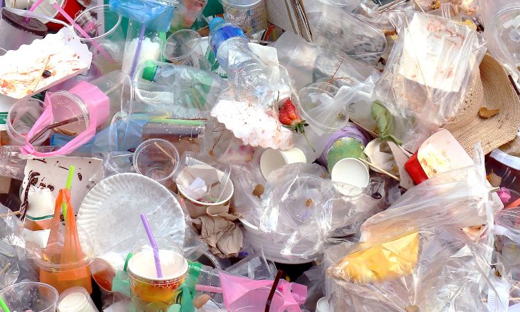 Plastic Waste