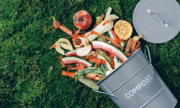 Composting Food Waste