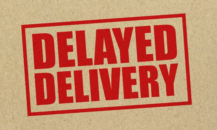 Delivery Delays