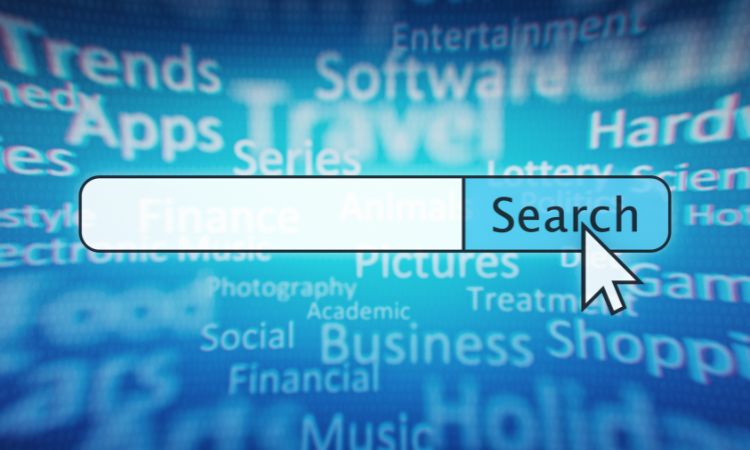 search engine