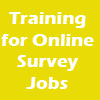 Online Survey Jobs