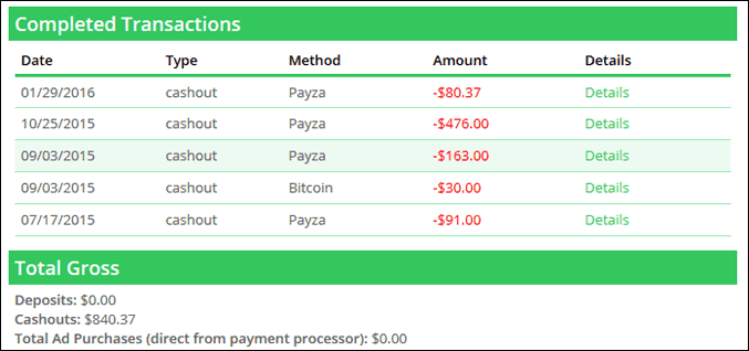 paidverts payment