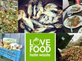 prevent food wastage to save and earn money