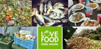 prevent food wastage to save and earn money