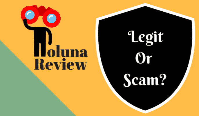 toluna review