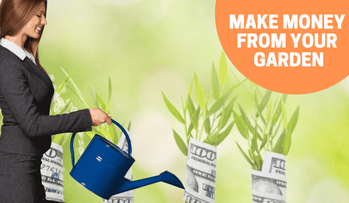 make money with garden