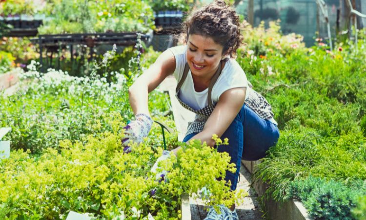 Gardening