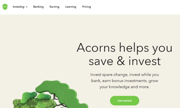 Acorns