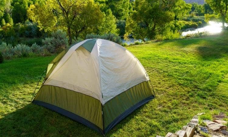 Camping in Your Backyard