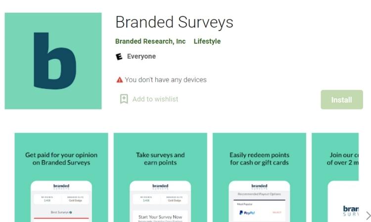 Branded Surveys