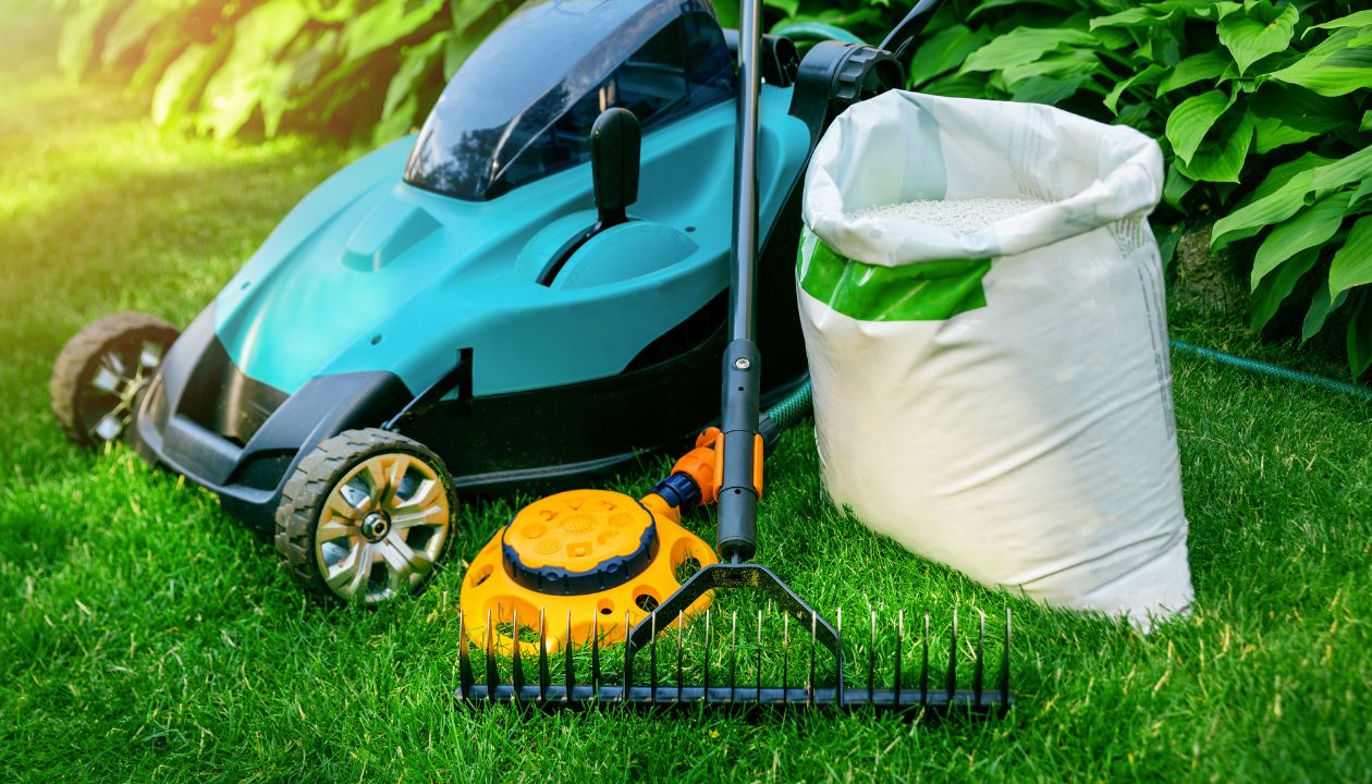 how to start a lawn care business