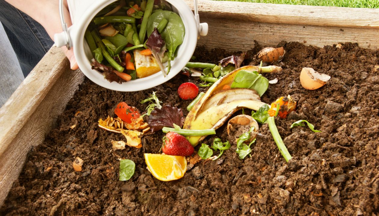 where to buy organic compost near me