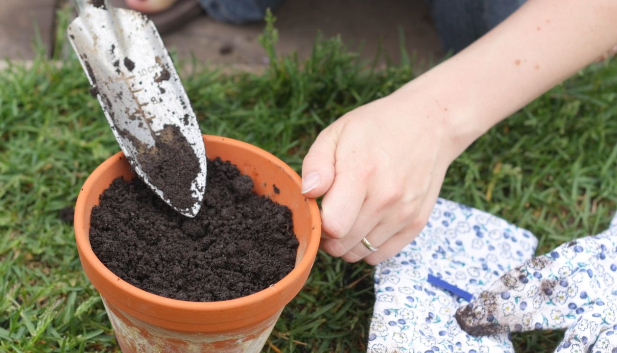 where to buy free fill dirt near me