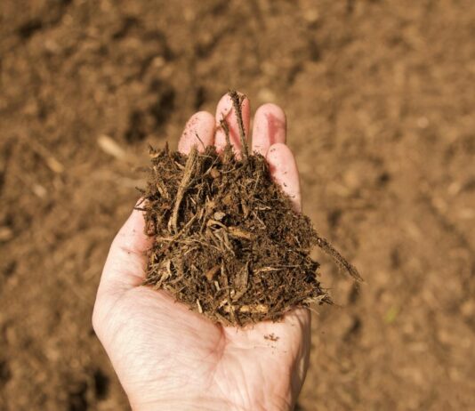 where to get free mulch near me