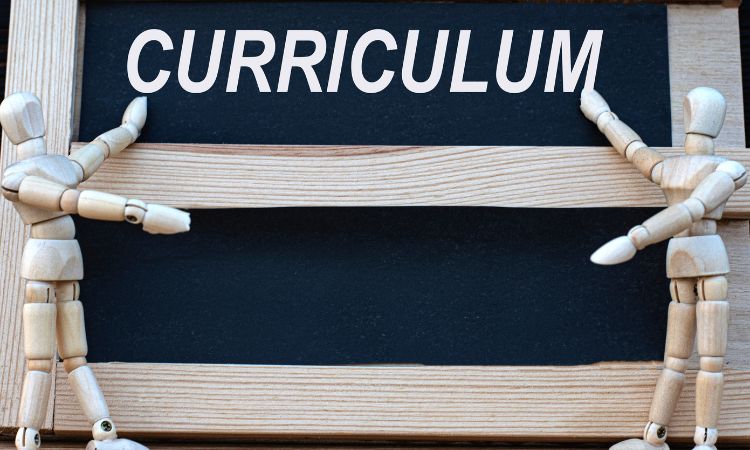 Curriculum Development