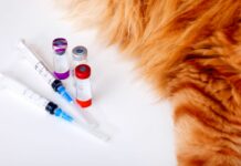 free pet vaccinations near me