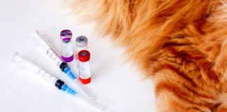 free pet vaccinations near me