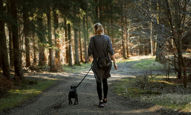 Pet Walking
