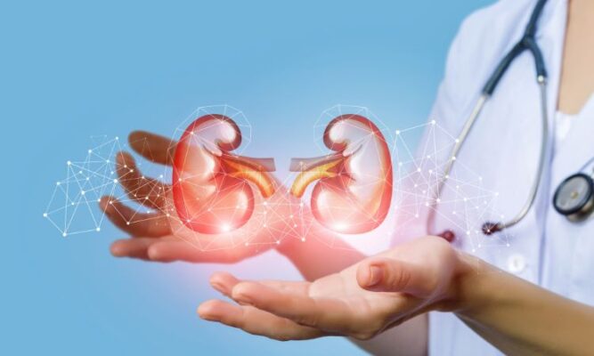 Sell Kidney