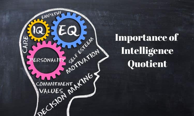 Importance of IQ what is the average iq