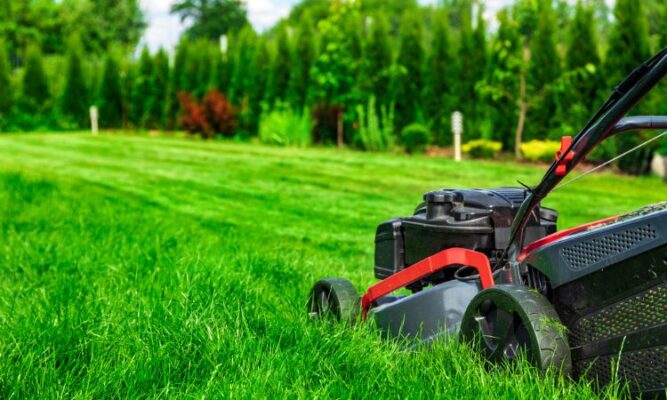 Lawn Caretaker