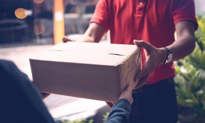 Overnight Courier